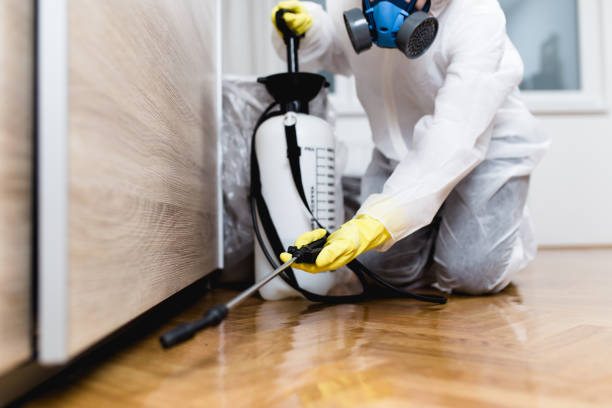 Best Exterminator Services  in East Sonora, CA
