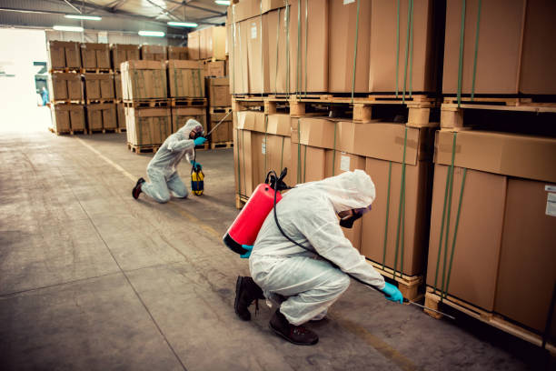 Best Ant Control Services  in East Sonora, CA