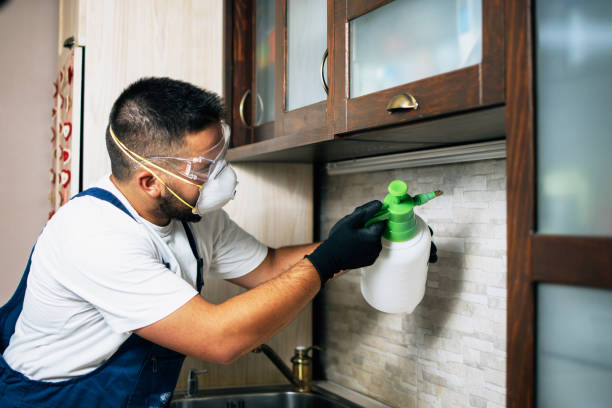 Best Pest Inspection Near Me  in East Sonora, CA