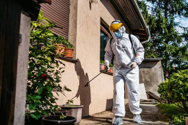 Best Insect Control  in East Sonora, CA