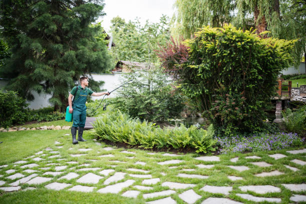 Best Wildlife Control Services  in East Sonora, CA