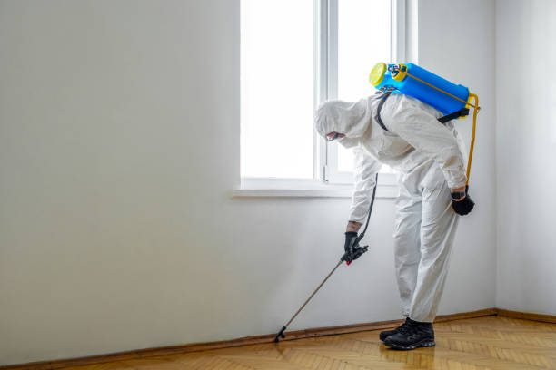 Wasp Removal Services in East Sonora, CA