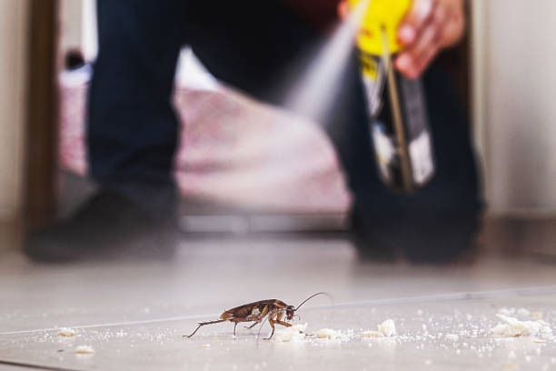 Best Cockroach Control Services  in East Sonora, CA