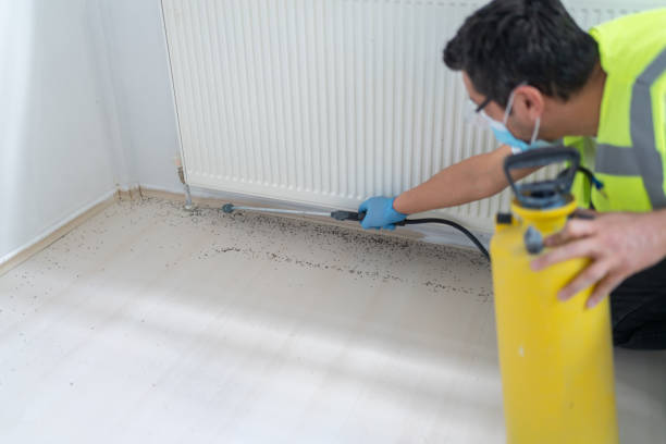 Best Best Pest Control Companies  in East Sonora, CA